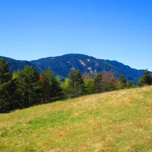 Man findet saftige Wiesen im Naturpark Trudner Horn (c) Karmen Nahberger